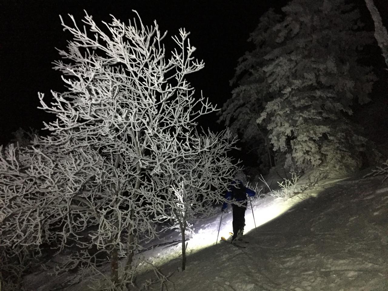 Promenade en foret avant d'atteindre le sommet avec Quentin