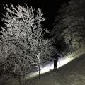 Promenade en foret avant d'atteindre le sommet avec Quentin